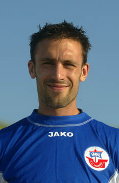Rade Prica, ny i Hansa Rostock