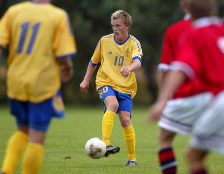 Sebastian Larsson, Sverige