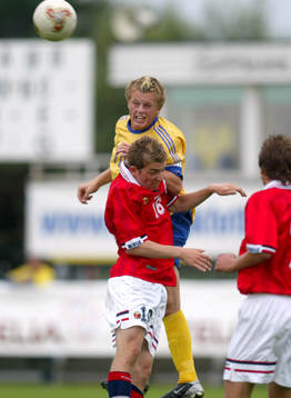 Sebastian Larsson, Sverige