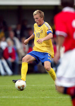 Sebastian Larsson, Sverige