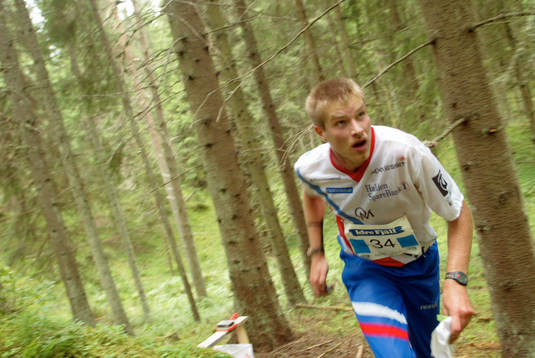 Emil Wingstedt, Halden