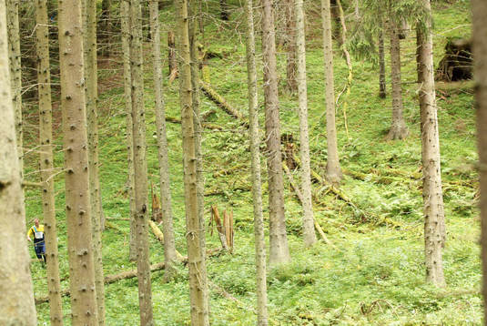 Orientering, O-ringen
