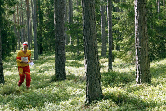 Kjell Jeppsson, IF Rigor
