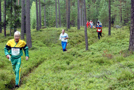 Orientering, O-ringen