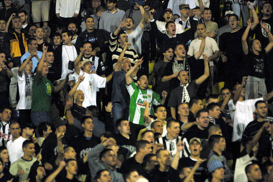 Hammarby, Partizan, supporter