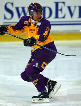 Radek Hamr, Färjestad