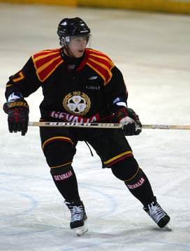 Niklas Anger, Brynäs