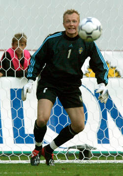 Magnus Hedman, Sverige