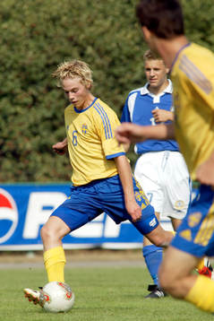 Anders Selander, Sverige