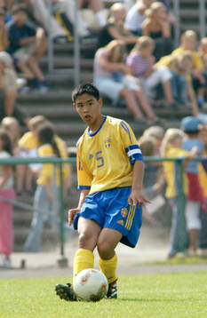 Erik Lind, Sverige