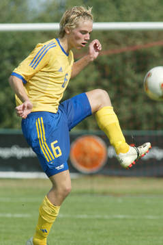Anders Selander, Sverige