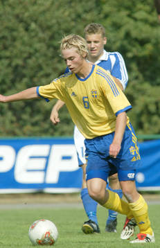 Anders Selander, Sverige