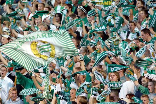 Supporter, Hammarby