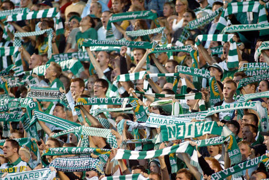 Supporter, Hammarby