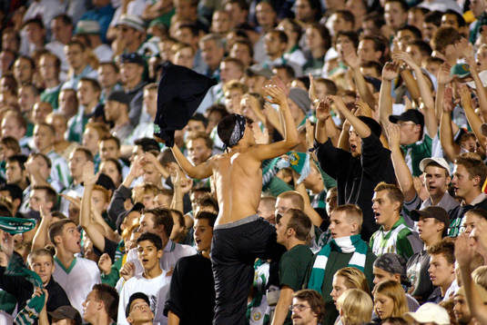 Supporter, Hammarby