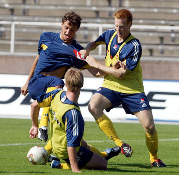 Zlatan Ibrahimovic och Michael Svensson, Sverige