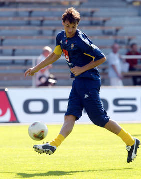 Zlatan Ibrahimovic, Sverige