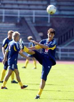 Zlatan Ibrahimovic, Sverige