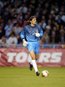Rustu Recber, Fenerbahce