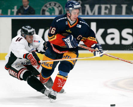 Nichlas Falk, Djurgården och Jan Hammar, MIF