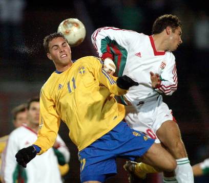 Johan Elmander, Sverige