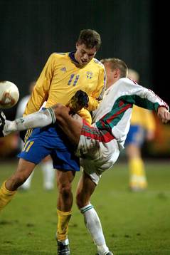 Johan Elmander, Sverige