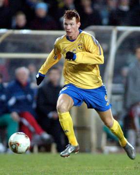 Alexander Farnerud, Sverige