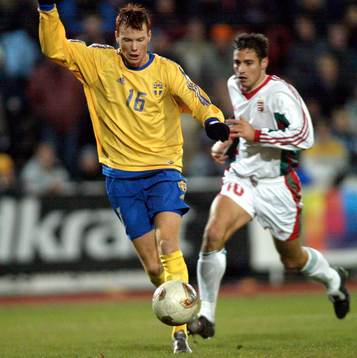 Alexander Farnerud, Sverige