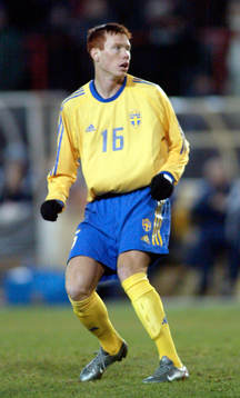 Alexander Farnerud, Sverige