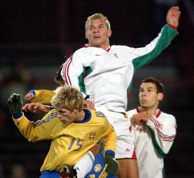 Johan Andersson, Sverige