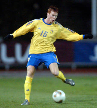 Alexander Farnerud, Sverige