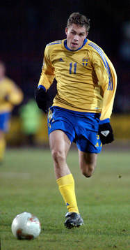 Johan Elmander, Sverige