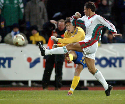 Stefan Ishizaki, Sverige