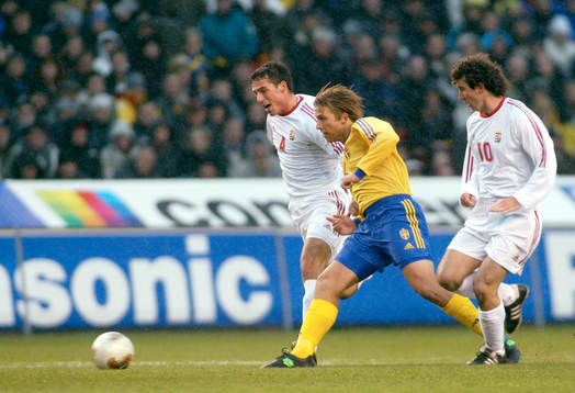 Anders Svensson, Sverige