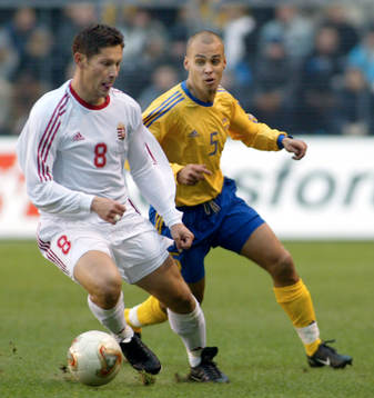 Tomas Antonelius, Sverige och Pál Dárdai, Ungern