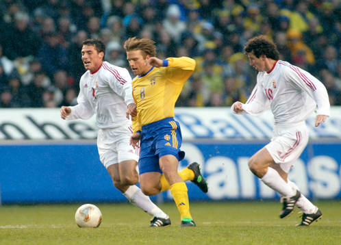 Anders Svensson, Sverige