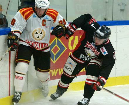 Janne Larsson, Brynäs och Mikael Wahlberg, Malmö