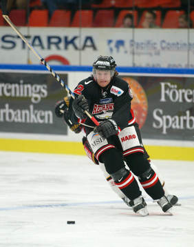 David Petrasek, Malmö