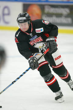 David Petrasek, Malmö