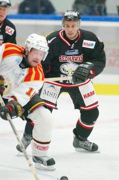Peter Nylander, Brynäs och Thomas Sjögren, Malmö