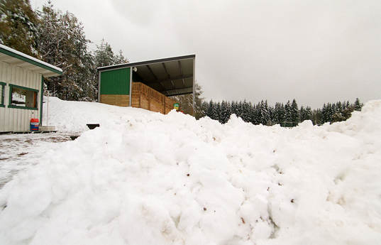 Fotboll, dam, allsvenskan, snö, läktare