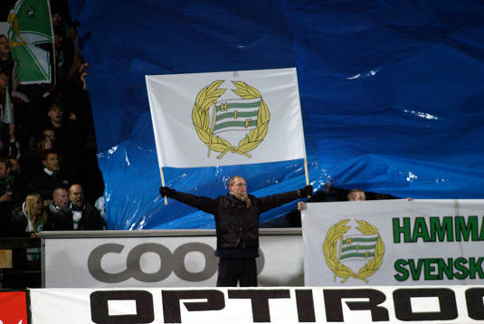 Supporter, Hammarby