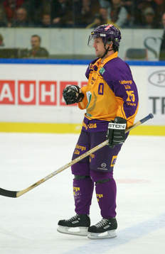 Thomas Rhodin,  Färjestad