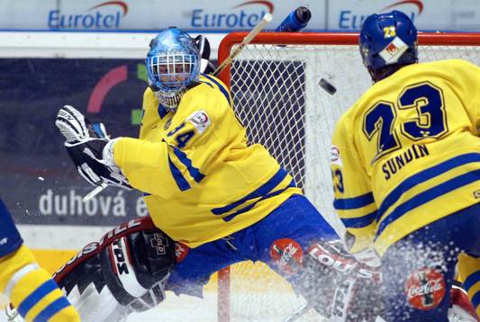Mikael Sandberg, Sverige