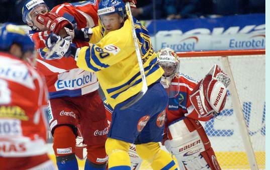 Patrik Zetterberg, Sverige