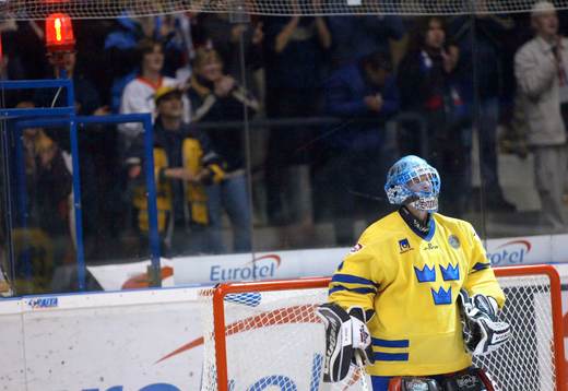 Mikael Sandberg, Sverige