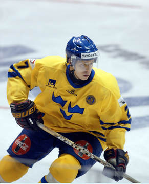 Niklas Anger, Sverige