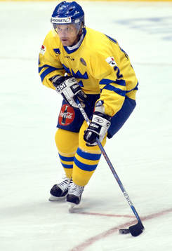 Thomas Rhodin, Sverige