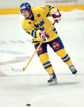 Magnus Johansson, Sverige