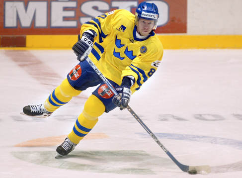 Patrik Zetterberg, Sverige